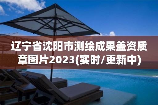 辽宁省沈阳市测绘成果盖资质章图片2023(实时/更新中)