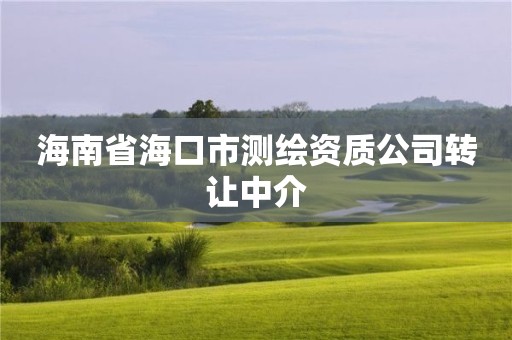 海南省海口市测绘资质公司转让中介