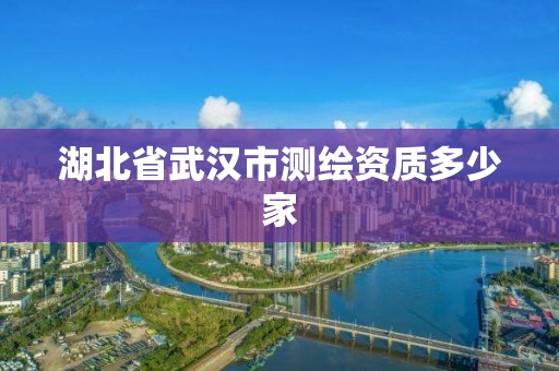 湖北省武汉市测绘资质多少家