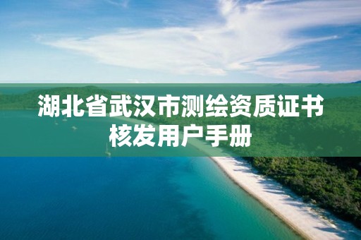 湖北省武汉市测绘资质证书核发用户手册