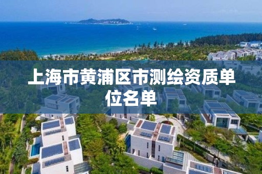 上海市黄浦区市测绘资质单位名单