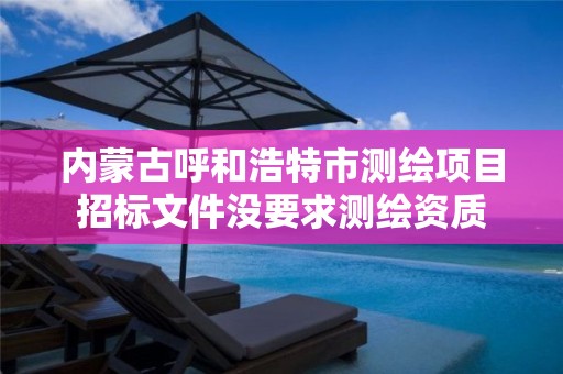 内蒙古呼和浩特市测绘项目招标文件没要求测绘资质