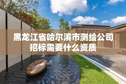 黑龙江省哈尔滨市测绘公司招标需要什么资质