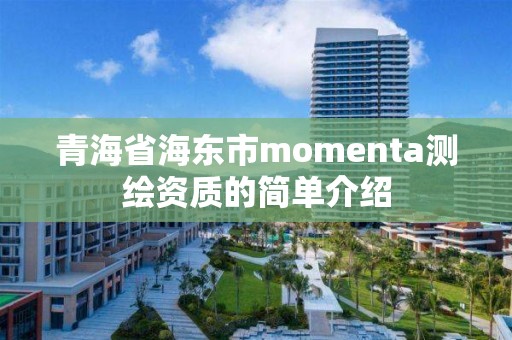 青海省海东市momenta测绘资质的简单介绍