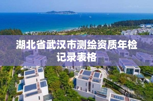 湖北省武汉市测绘资质年检记录表格