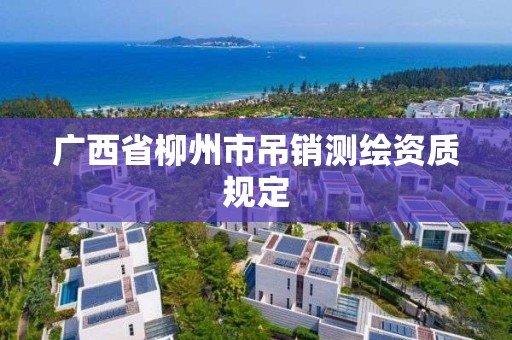 广西省柳州市吊销测绘资质规定