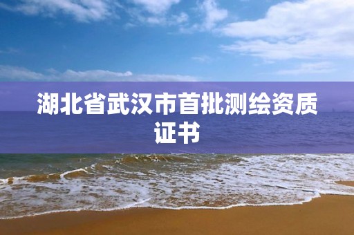 湖北省武汉市首批测绘资质证书