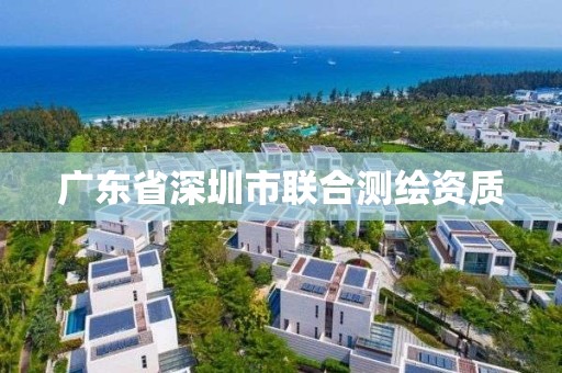 广东省深圳市联合测绘资质