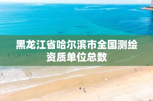 黑龙江省哈尔滨市全国测绘资质单位总数