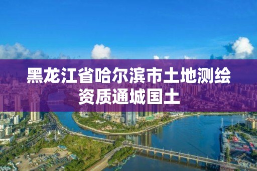 黑龙江省哈尔滨市土地测绘资质通城国土