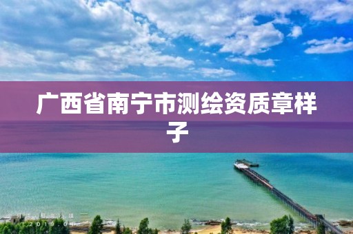 广西省南宁市测绘资质章样子