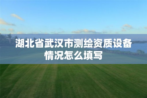 湖北省武汉市测绘资质设备情况怎么填写