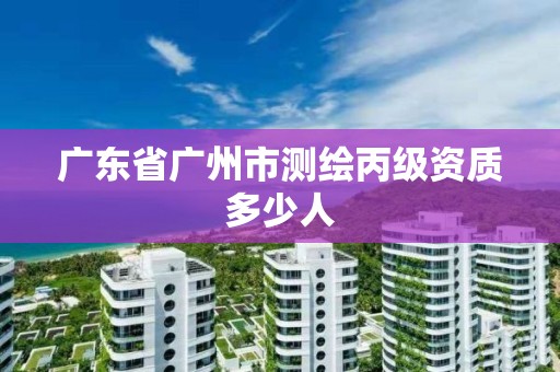 广东省广州市测绘丙级资质多少人