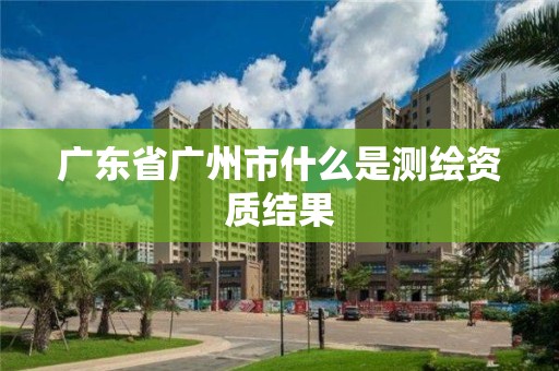 广东省广州市什么是测绘资质结果