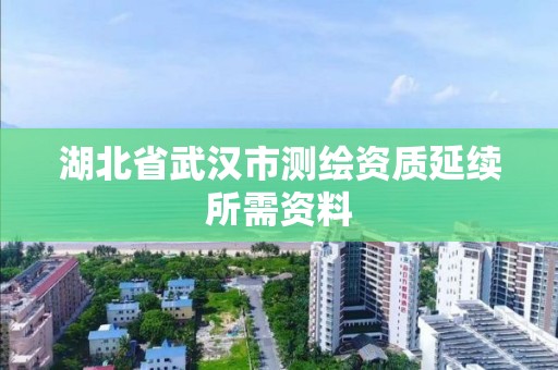 湖北省武汉市测绘资质延续所需资料