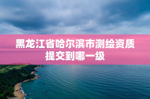 黑龙江省哈尔滨市测绘资质提交到哪一级