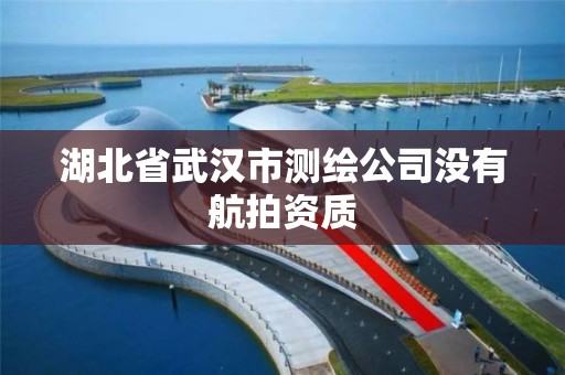 湖北省武汉市测绘公司没有航拍资质