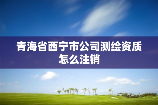 青海省西宁市公司测绘资质怎么注销