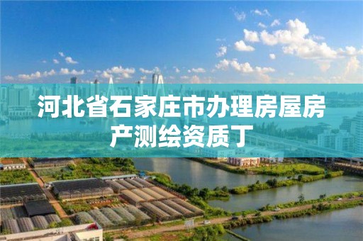 河北省石家庄市办理房屋房产测绘资质丁