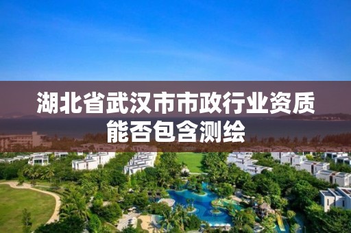 湖北省武汉市市政行业资质能否包含测绘