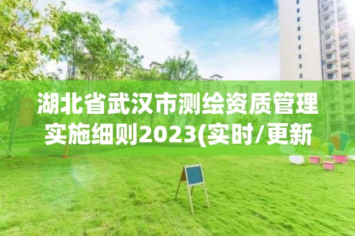 湖北省武汉市测绘资质管理实施细则2023(实时/更新中)