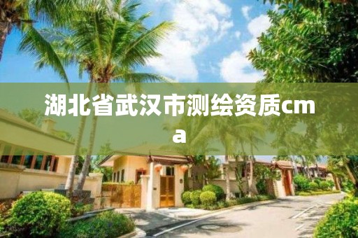 湖北省武汉市测绘资质cma