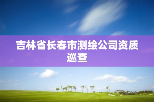 吉林省长春市测绘公司资质巡查