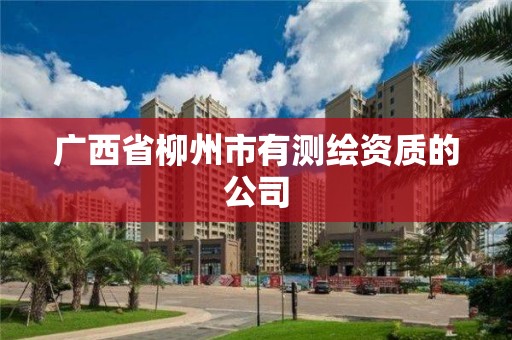 广西省柳州市有测绘资质的公司