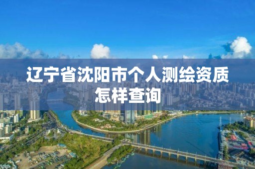 辽宁省沈阳市个人测绘资质怎样查询