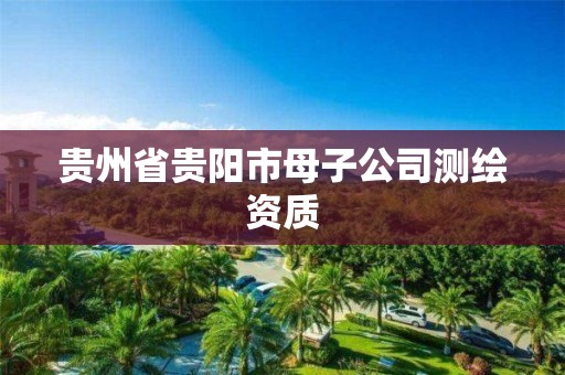 贵州省贵阳市母子公司测绘资质