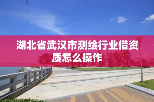 湖北省武汉市测绘行业借资质怎么操作