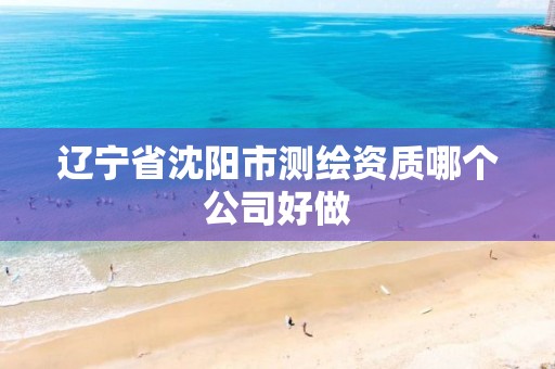 辽宁省沈阳市测绘资质哪个公司好做