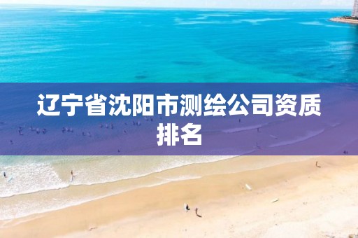 辽宁省沈阳市测绘公司资质排名