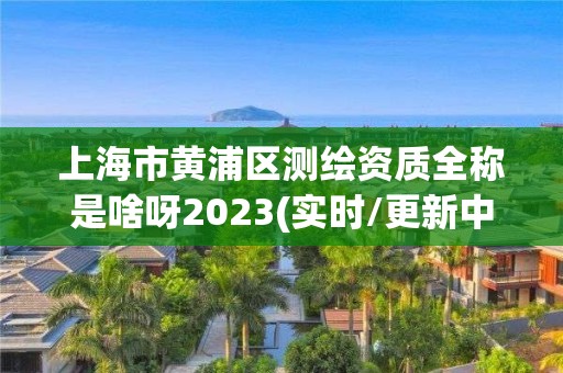 上海市黄浦区测绘资质全称是啥呀2023(实时/更新中)