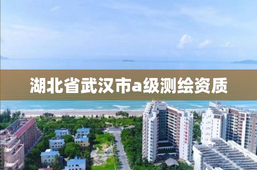 湖北省武汉市a级测绘资质