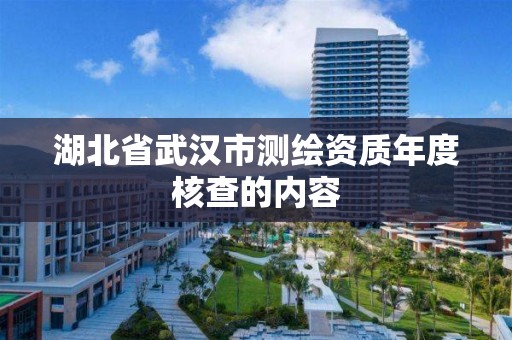 湖北省武汉市测绘资质年度核查的内容