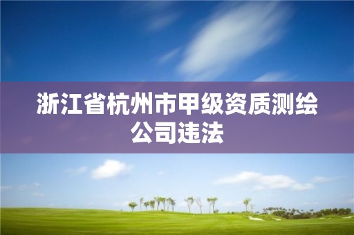 浙江省杭州市甲级资质测绘公司违法