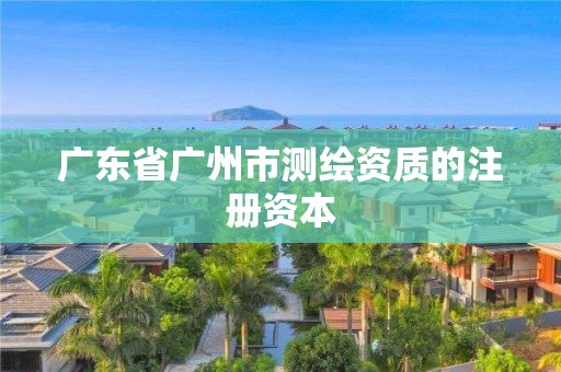 广东省广州市测绘资质的注册资本