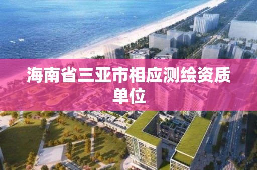 海南省三亚市相应测绘资质单位