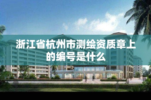 浙江省杭州市测绘资质章上的编号是什么