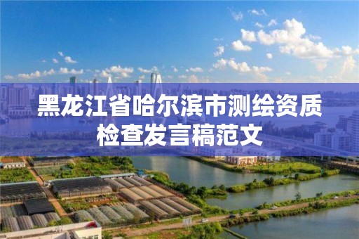 黑龙江省哈尔滨市测绘资质检查发言稿范文