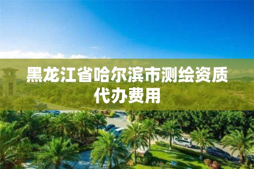 黑龙江省哈尔滨市测绘资质代办费用