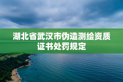 湖北省武汉市伪造测绘资质证书处罚规定