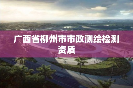 广西省柳州市市政测绘检测资质