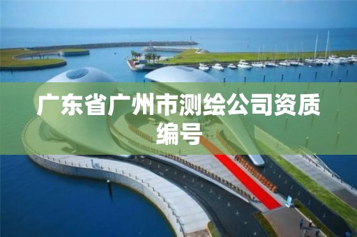 广东省广州市测绘公司资质编号