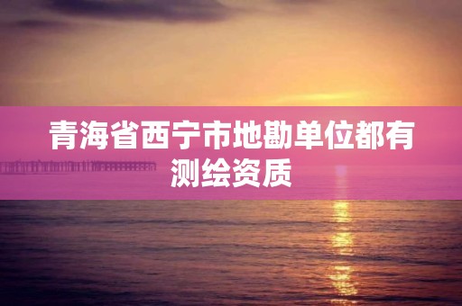 青海省西宁市地勘单位都有测绘资质