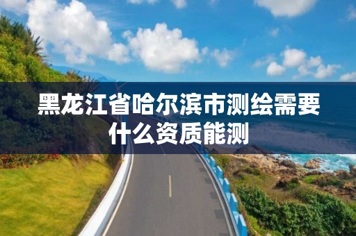 黑龙江省哈尔滨市测绘需要什么资质能测