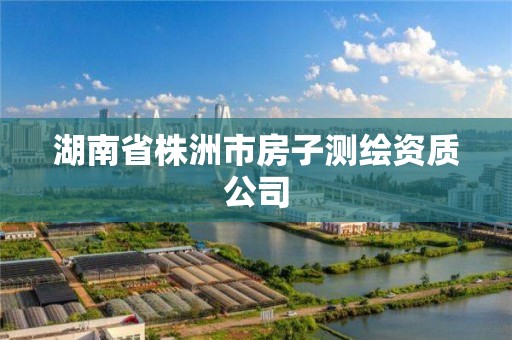 湖南省株洲市房子测绘资质公司