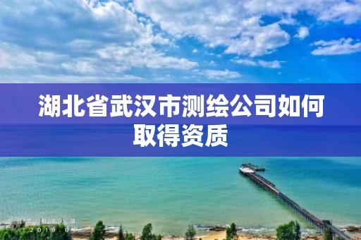 湖北省武汉市测绘公司如何取得资质