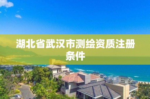 湖北省武汉市测绘资质注册条件